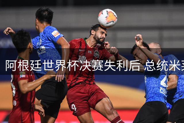 阿根廷世界杯决赛失利后 总统米莱坚持兑现"全国假日"承诺